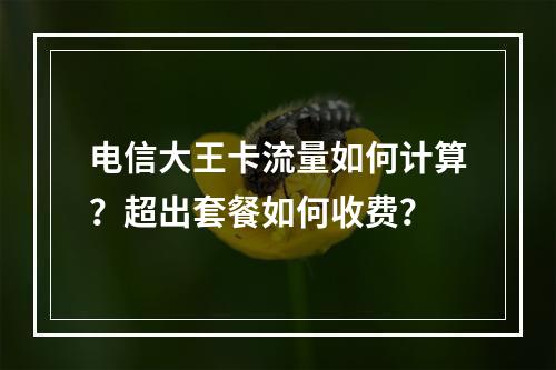 电信大王卡流量如何计算？超出套餐如何收费？