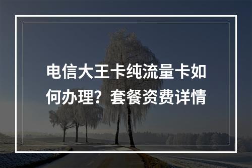 电信大王卡纯流量卡如何办理？套餐资费详情