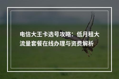电信大王卡选号攻略：低月租大流量套餐在线办理与资费解析