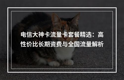 电信大神卡流量卡套餐精选：高性价比长期资费与全国流量解析