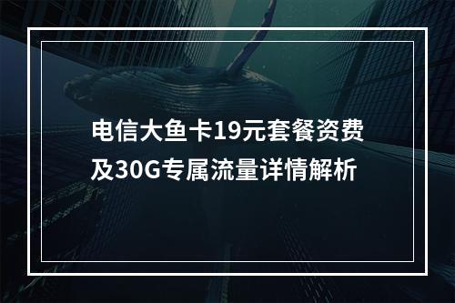 电信大鱼卡19元套餐资费及30G专属流量详情解析