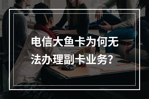 电信大鱼卡为何无法办理副卡业务？