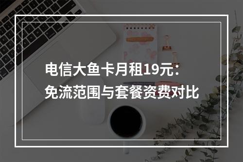 电信大鱼卡月租19元：免流范围与套餐资费对比