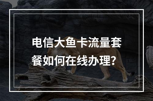 电信大鱼卡流量套餐如何在线办理？