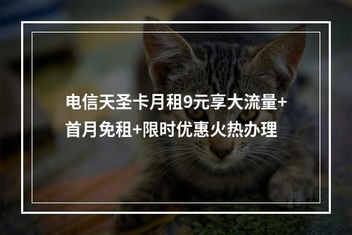 电信天圣卡月租9元享大流量+首月免租+限时优惠火热办理