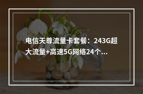 电信天尊流量卡套餐：243G超大流量+高速5G网络24个月优惠
