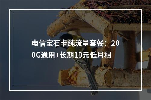 电信宝石卡纯流量套餐：200G通用+长期19元低月租