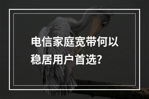 电信家庭宽带何以稳居用户首选？