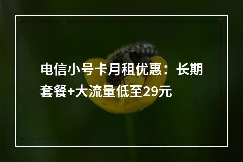 电信小号卡月租优惠：长期套餐+大流量低至29元