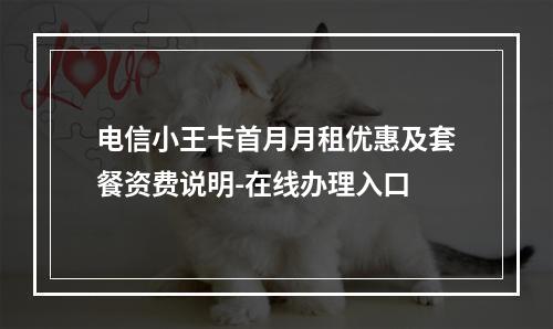 电信小王卡首月月租优惠及套餐资费说明-在线办理入口