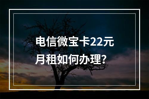 电信微宝卡22元月租如何办理？