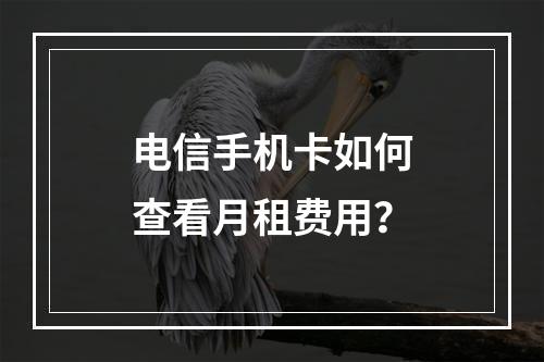 电信手机卡如何查看月租费用？