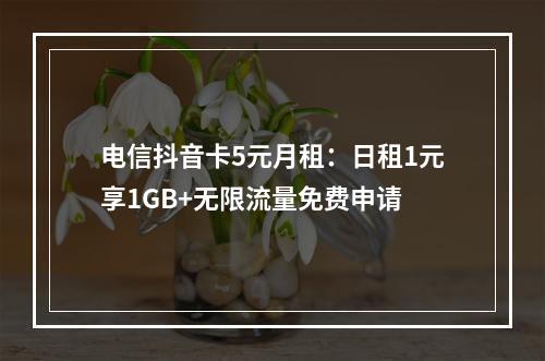电信抖音卡5元月租：日租1元享1GB+无限流量免费申请