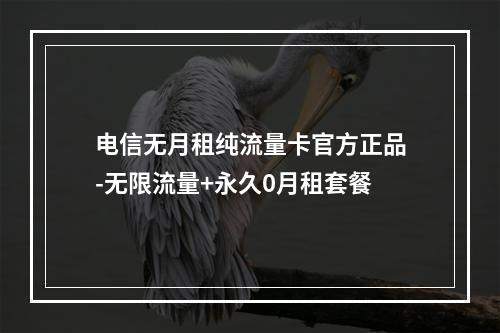 电信无月租纯流量卡官方正品-无限流量+永久0月租套餐