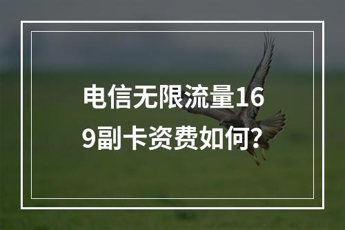 电信无限流量169副卡资费如何？