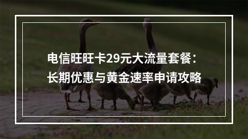 电信旺旺卡29元大流量套餐：长期优惠与黄金速率申请攻略