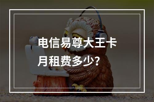 电信易尊大王卡月租费多少？
