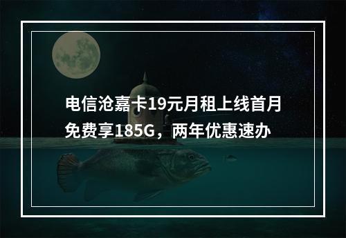 电信沧嘉卡19元月租上线首月免费享185G，两年优惠速办