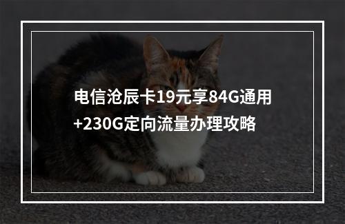 电信沧辰卡19元享84G通用+230G定向流量办理攻略
