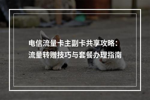 电信流量卡主副卡共享攻略：流量转赠技巧与套餐办理指南