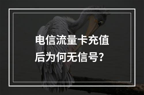 电信流量卡充值后为何无信号？