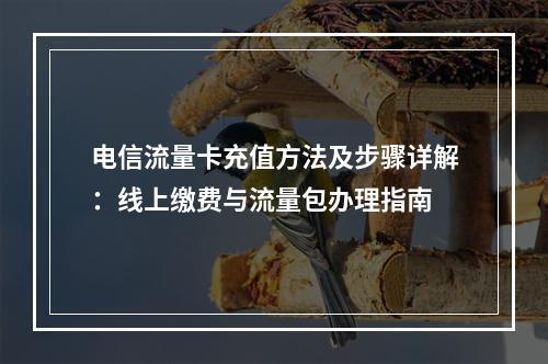 电信流量卡充值方法及步骤详解：线上缴费与流量包办理指南