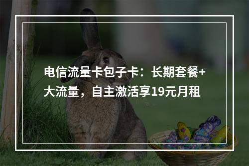 电信流量卡包子卡：长期套餐+大流量，自主激活享19元月租