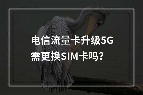 电信流量卡升级5G需更换SIM卡吗？