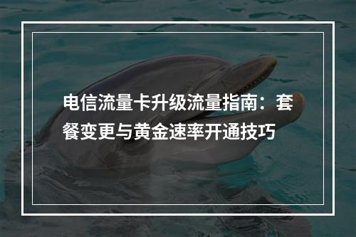 电信流量卡升级流量指南：套餐变更与黄金速率开通技巧