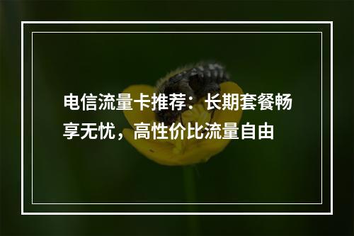 电信流量卡推荐：长期套餐畅享无忧，高性价比流量自由