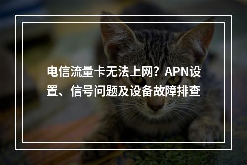 电信流量卡无法上网？APN设置、信号问题及设备故障排查