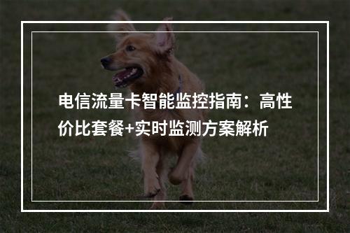 电信流量卡智能监控指南：高性价比套餐+实时监测方案解析