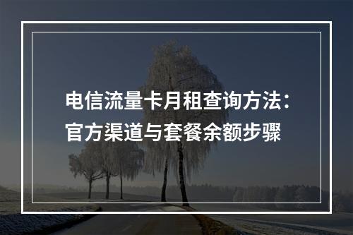 电信流量卡月租查询方法：官方渠道与套餐余额步骤