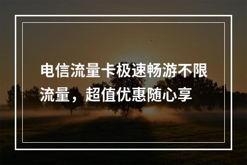 电信流量卡极速畅游不限流量，超值优惠随心享