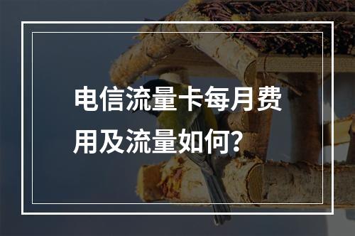 电信流量卡每月费用及流量如何？