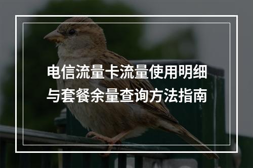电信流量卡流量使用明细与套餐余量查询方法指南