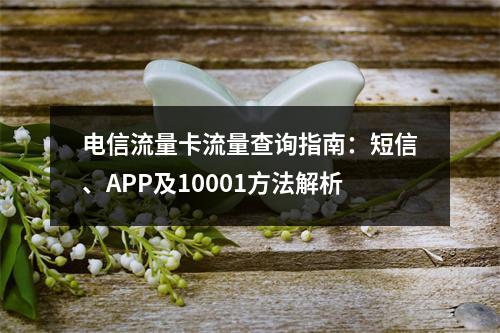 电信流量卡流量查询指南：短信、APP及10001方法解析