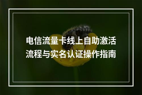 电信流量卡线上自助激活流程与实名认证操作指南