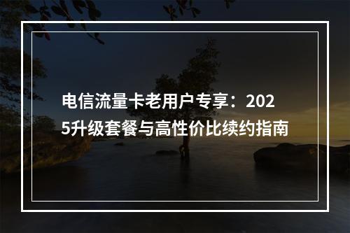 电信流量卡老用户专享：2025升级套餐与高性价比续约指南