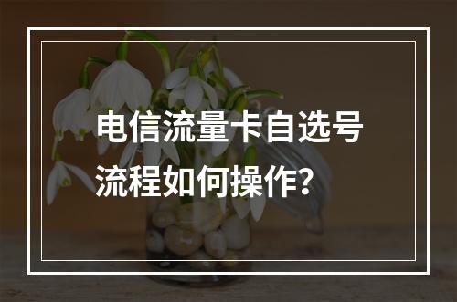 电信流量卡自选号流程如何操作？