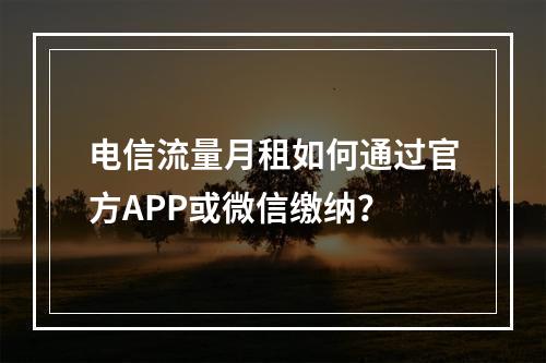 电信流量月租如何通过官方APP或微信缴纳？