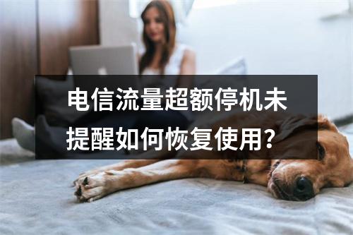 电信流量超额停机未提醒如何恢复使用？
