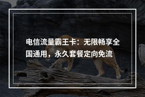 电信流量霸王卡：无限畅享全国通用，永久套餐定向免流