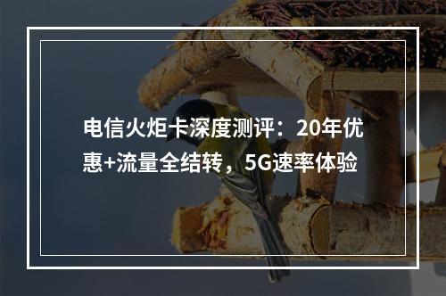 电信火炬卡深度测评：20年优惠+流量全结转，5G速率体验