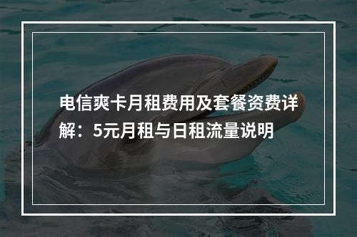 电信爽卡月租费用及套餐资费详解：5元月租与日租流量说明