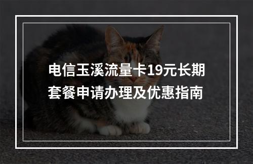 电信玉溪流量卡19元长期套餐申请办理及优惠指南