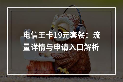 电信王卡19元套餐：流量详情与申请入口解析