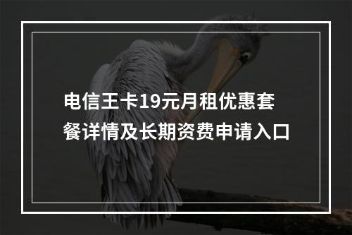 电信王卡19元月租优惠套餐详情及长期资费申请入口