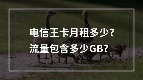 电信王卡月租多少？流量包含多少GB？