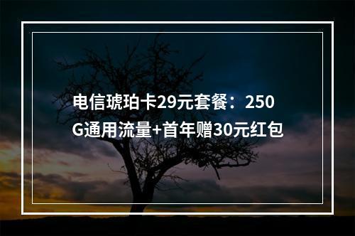 电信琥珀卡29元套餐：250G通用流量+首年赠30元红包